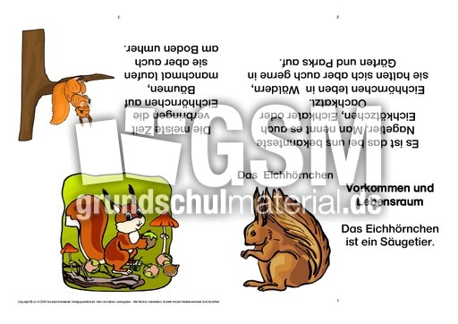 Eichhörnchen-Faltbuch-Vorkommen und Lebensraum-B.pdf